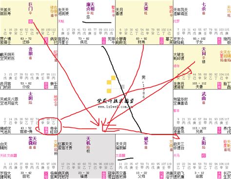 日月反背格桃花|【日月藏辉格